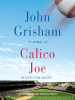 Book Cover for "Calico Joe"