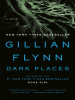 Book Cover for "Dark Places"
