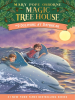 Book Cover for "Dolphins at Daybreak"