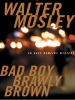Book Cover for "Bad Boy Brawly Brown"