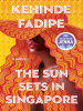 Book Cover for "The Sun Sets in Singapore"