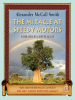 Book Cover for "The Miracle at Speedy Motors"