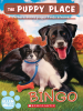 Book Cover for "Bingo"