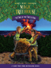Book Cover for "Time of the Turtle King"