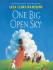 Book Cover for "One Big Open Sky"