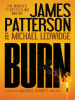 Book Cover for "Burn"