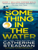 Book Cover for "Something in the Water"
