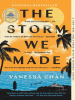 Book Cover for "The Storm We Made"