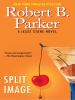 Book Cover for "Split Image"