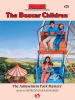 Book Cover for "The Amusement Park Mystery"