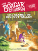 Book Cover for "The Secret of Bigfoot Valley"