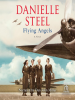 Book Cover for "Flying Angels"