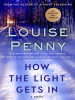 Book Cover for "How the Light Gets In"