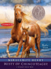 Book Cover for "Misty of Chincoteague"