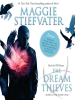 Book Cover for "Dream Thieves"