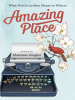 Book Cover for "Amazing Place"