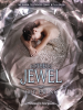 Book Cover for "The Jewel"