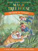 Book Cover for "Tigers at Twilight"
