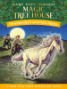 Book Cover for "Windy Night with Wild Horses"