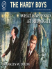 Book Cover for "What Happened at Midnight"