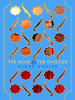Book Cover for "The Rose & the Dagger"