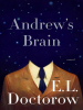 Book Cover for "Andrew's Brain"