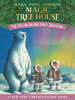 Book Cover for "Polar Bears Past Bedtime"