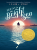 Book Cover for "Beyond the Bright Sea"