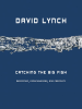Book Cover for "Catching the Big Fish"