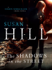 Book Cover for "Shadows in the Street"
