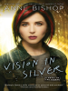 Book Cover for "Vision in Silver"