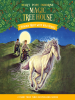 Book Cover for "Windy Night with Wild Horses"